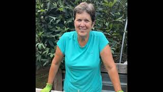 Reducing Runoff with Rain Gardens