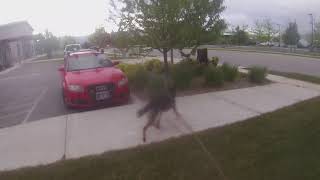 LW Urban Track 052318 (VIDEO)