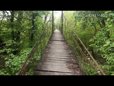 Lanový most 2020 // Latorica, príroda