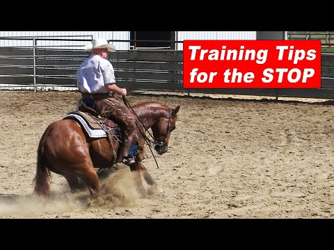 Horse Training Tips for the Stop - Reining Horse Stop - Cutting Horse Stop