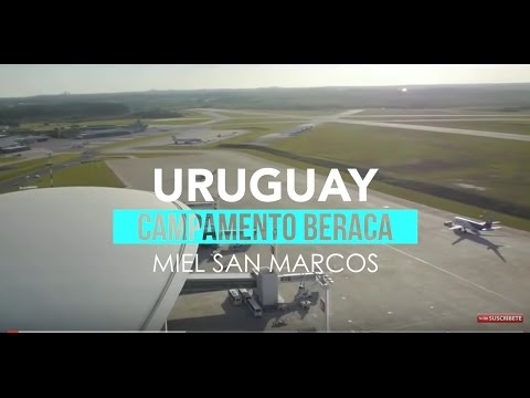 | URUGUAY | Campamento Beraca 2017 NEON - Miel San Marcos