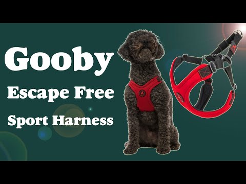 Gooby Escape Free Sport Harness: Lightweight and Soft...