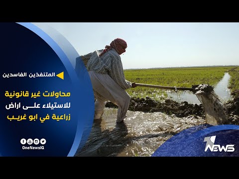 شاهد بالفيديو.. محاولات غير قانونية للاستيلاء على اراضٍ زراعية في قضاء ابو غريب من بعض المتنفذين | تقرير: مهدي غريب