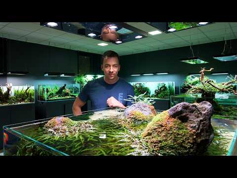 THE BEST AQUARIUM GALLERY IN EUROPE? Full Tour Of Green Aqua in Budapest