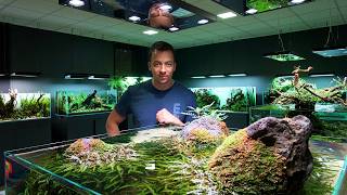 Film Galeria Green Aqua