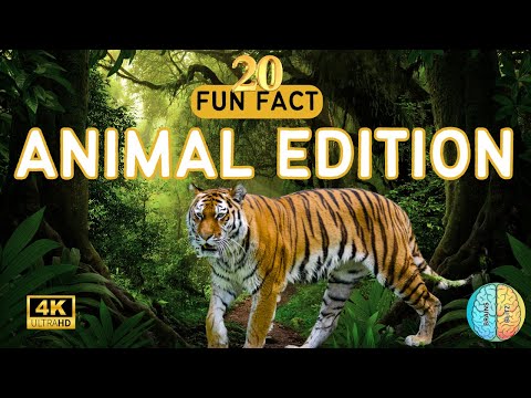 20 Mind-Blowing Secrets about animals-Most People Don't Know! #funfacts #animals  #shortvideo #viral