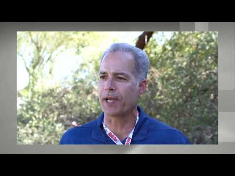 Inside the Terrazzo World: Dino Martina