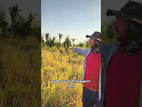 Em plena chapada de Paulo Ramos (MA), a 1.600 metros de altitude, o Mavuno mostra sua força.