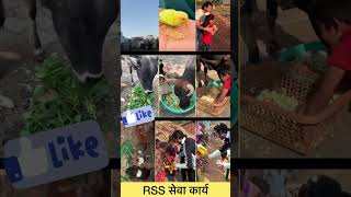 Download lagu Rashtriya Swayam Sevak Sangh | Seva Karya #rss #modi #mohanbhagwat #bjp #india #shorts mp3 Download lagu Rashtriya Swayam Sevak Sangh | Seva Karya #rss #modi #mohanbhagwat #bjp #india #shorts mp3