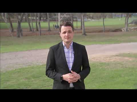 Fetus found dumped in park after witnesses report suspicious people