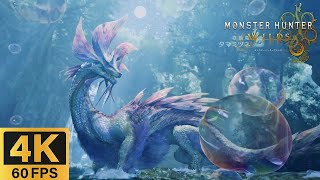 【MH Wilds】タマミツネ ストーリー 道中会話あり 実況無し プレイ動画 スラッシュアックス   PS5pro【モンスターハンターワイルズ】