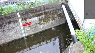 日月橋下流映像監視局