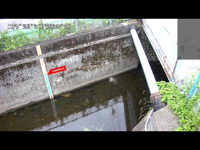 日月橋下流映像監視局