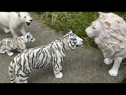 Lion pride part 4 #animals play # lion world # animal planet