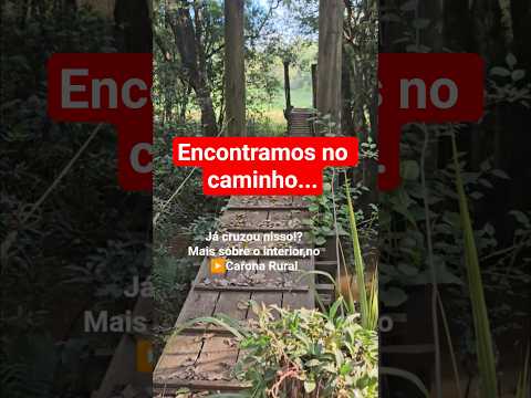 No interior de Nova Candelária-Rs #vidanointerior #riograndedosul #vidanaroça #nature #natureza