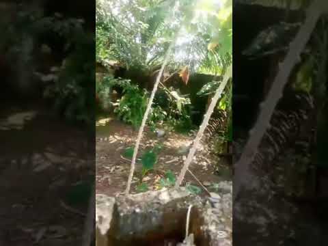 Two Plots of Land for Sale – Ajao Estate, Lagos