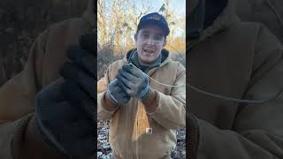What happens if a deer gets caught in a snare? #predators #deerhunting #trapping