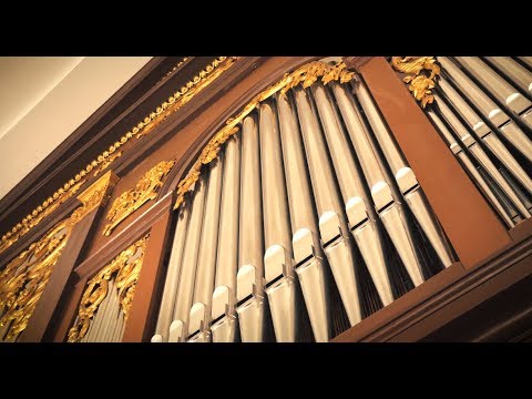 XAVER VARNUS PLAYS VIVALDI'S "SPRING" ON THE DEBRECEN PRESBYTERIAN CATHEDRAL ORGAN