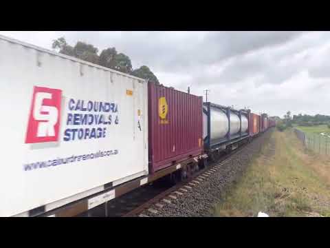 4MS2 through leumeah