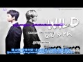 G.O & Mir (MBLAQ) - I Already Knew lyrics 