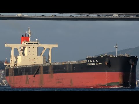 Ships in Istanbul strait - 2024 (Part 5)