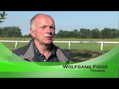 Pferdewetten.de - Stallcheck bei Wolfgang Figge