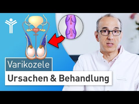 Krampfadern am Hoden: Hodenschmerzen durch Varikozele – Fruchtbarkeit gefährdet?