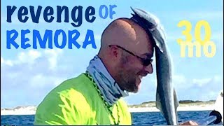 Kayak Fishing Offshore with Line Cutterz Crew - "REVENGE OF REMORA!" - Pensacola Florida