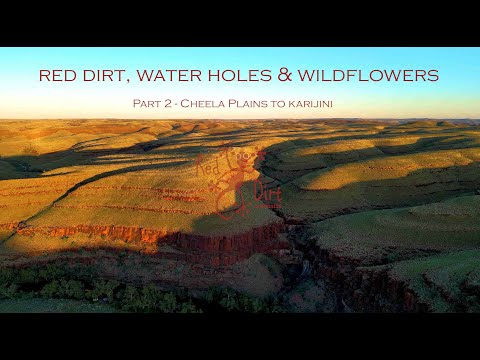 Pilbara 2022   Red dirt, waterholes and wildflowers   Part 2 – Cheela to Karijini