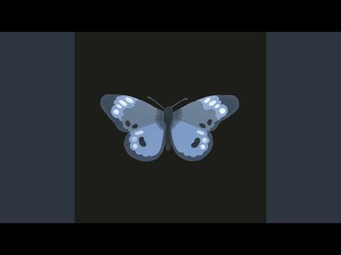 Thumbnail for Butterfly video