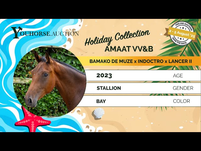 Amaat VV & B