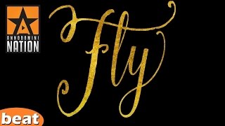 Dr. Dre Type Rap Beat - Fly