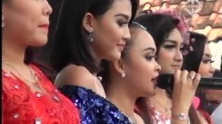 Download lagu new pallapa all artis gadis atau janda mp3 Download lagu new pallapa all artis gadis atau janda mp3