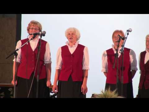 Vaške pevke s Pristave pri Mestinju - Moj domači kraj (v živo)