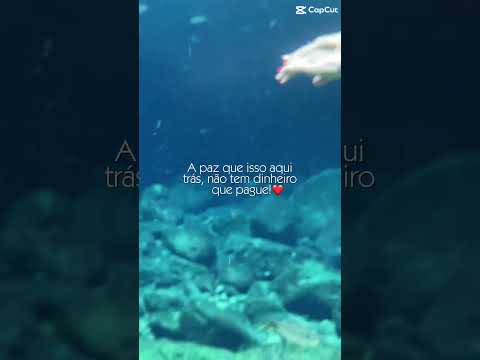 Passeio dos lugares mais bonitos do Maranhão encanto azul localizado no riachão Maranhão  #encanto