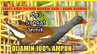 Download lagu Suara Pikat Mandar Batu /Ayam Ayaman Paling di Cari mp3 Download lagu Suara Pikat Mandar Batu /Ayam Ayaman Paling di Cari mp3