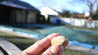 Wicca, Pagan, Spiritual, Witch: My Stones