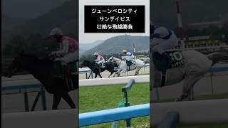 ジューンベロシティとサンデイビスの壮絶な飛越勝負#shorts