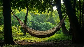 Deep Relaxation Music | 10 HOURS | Instant Relief from Stress & Anxiety | Healing Meditation Music