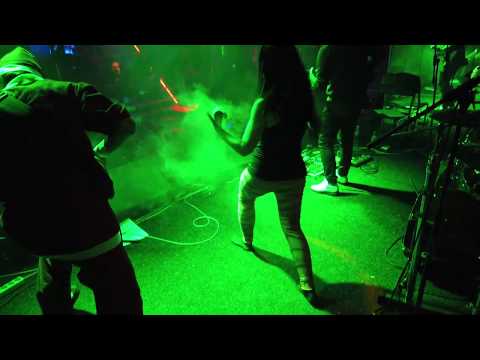 LIZ GUN - Mr. Grumpy