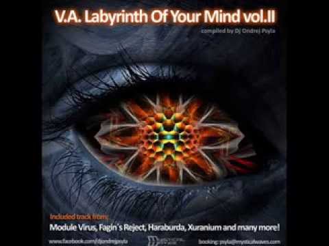 Distorted Goblin - 0x20 (V.A. - LABYRINTH OF YOUR MIND vol. II - compiled by Ondrej Psyla)