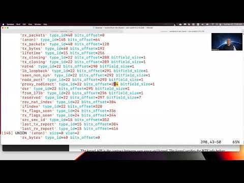How to read BPF BTF format data type info