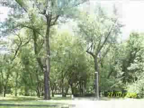 Zdjęcia Nowego Bytomia