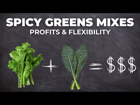 Spice Up Your Farm Profits with Signature Greens Mixes