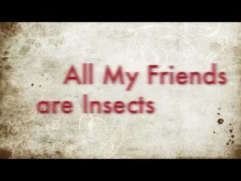 All My Friends Are Insects-Weezer Lyrics