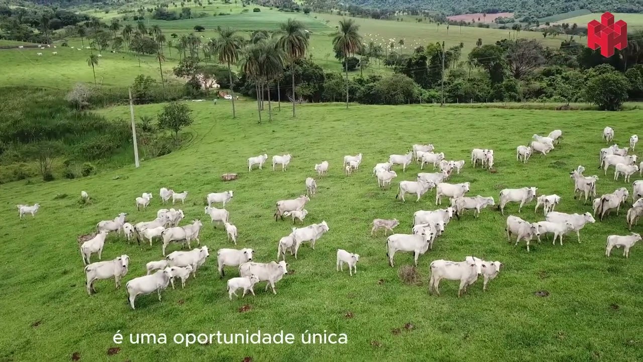 FAZENDA PARA GADO - PATROCÍNIO PAULISTA - SP