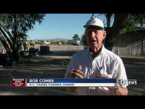 You Ask. We Investigate. Why so many chickens still living on former North Las Vegas pig farm?