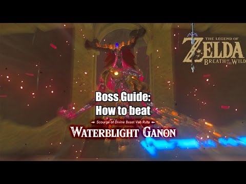 How to beat Waterblight Ganon in under 4 Minutes