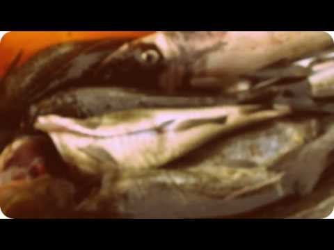 Ryby U Rybaka - powrót z morza 2 listopada 2013