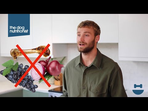 Foods dogs cannot eat | Dog Nutrition Lessons | Ep 7.
